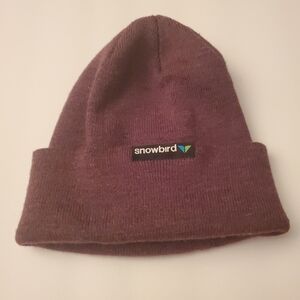 Coal Custom Headwear Snowbird Purple Beanie